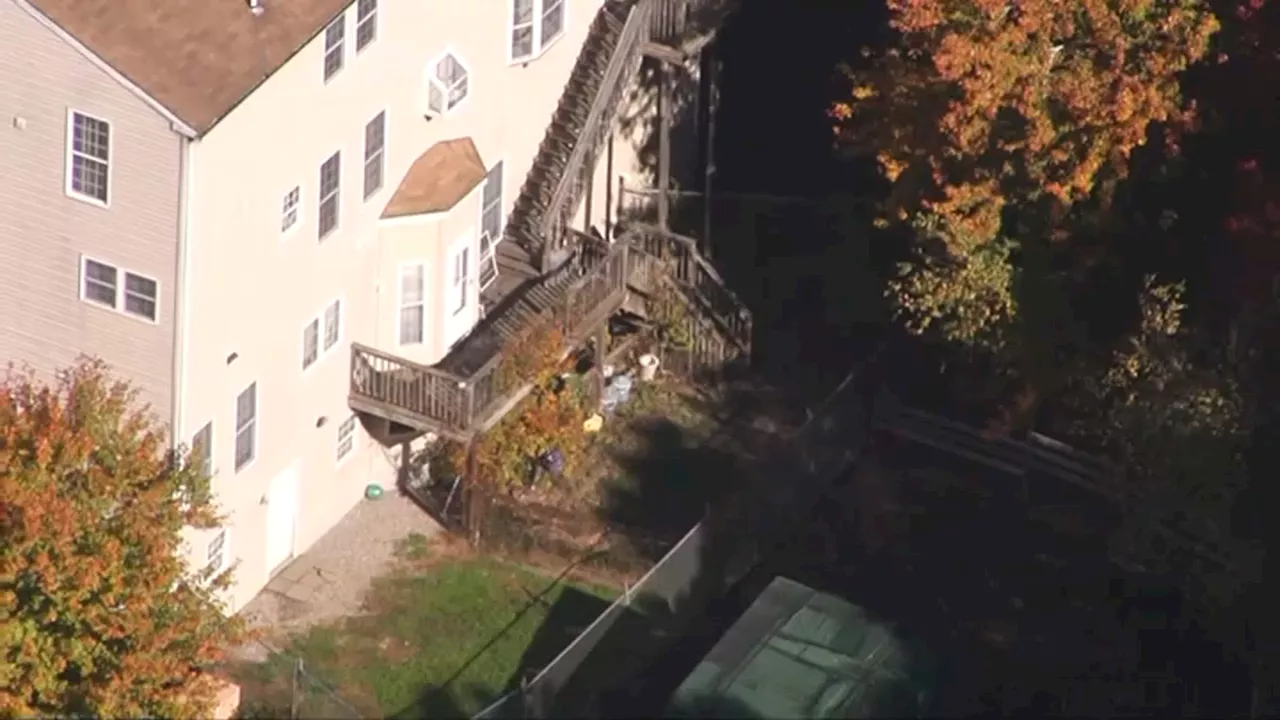 Mass. home condemned after 17 dogs found living in filth, police say