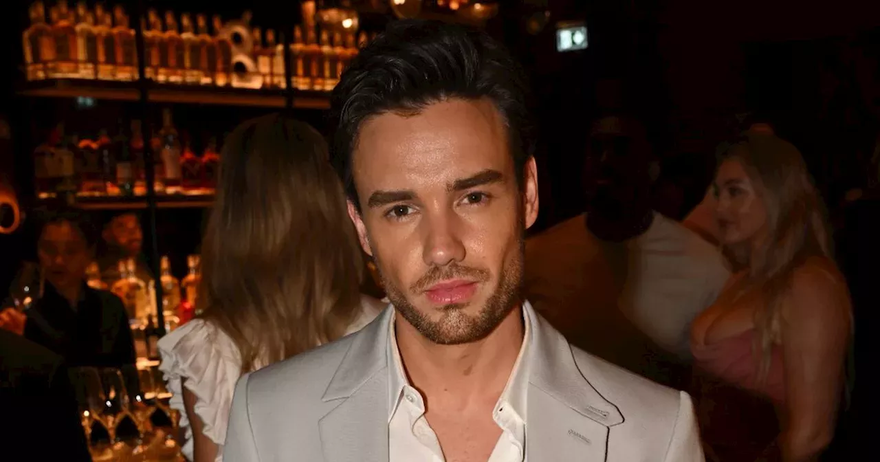 Liam Payne's Tragic Rehab Exit After '48 Hours' Just Weeks Before ...