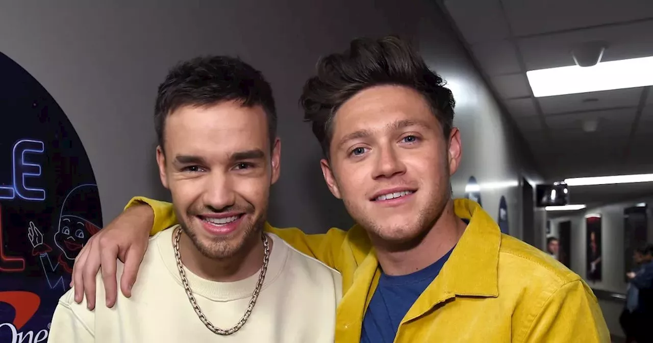 Liam Payne seen 'enjoying himself' at Niall Horan's show before his death