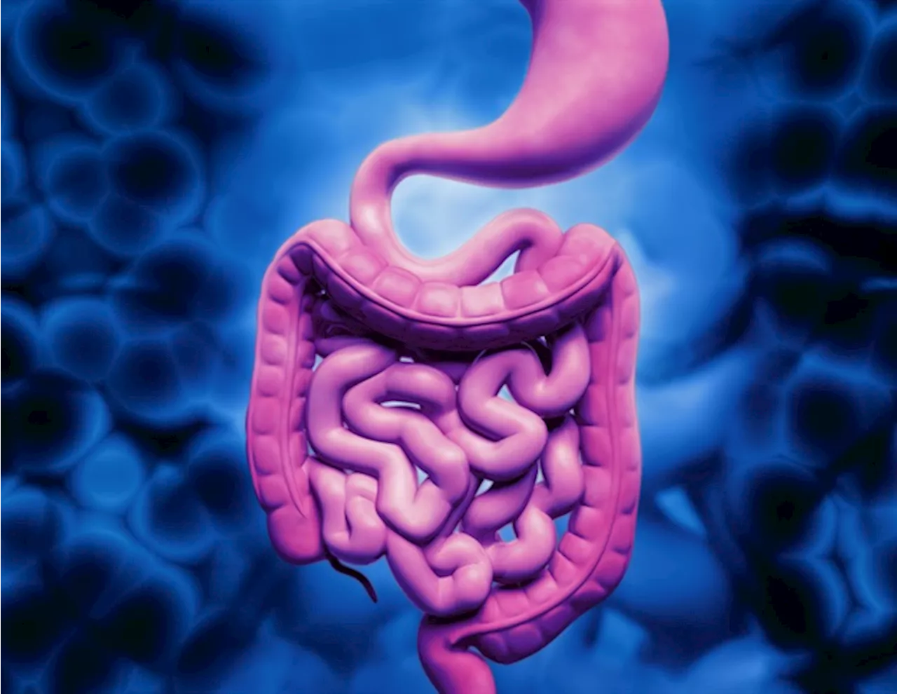 Researchers develop strategies to identify regulators of intestinal hormone secretion