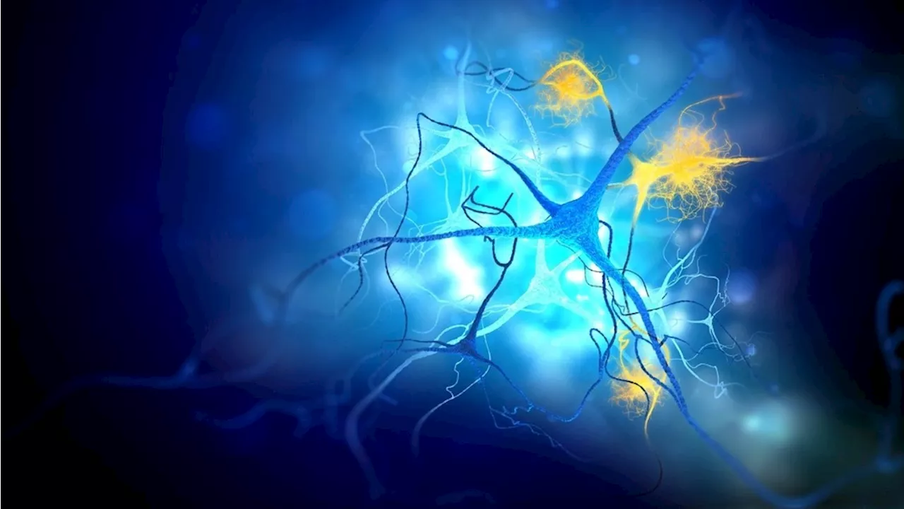 The molecular underpinnings by which traumatic brain injury increases Alzheimer's disease risk