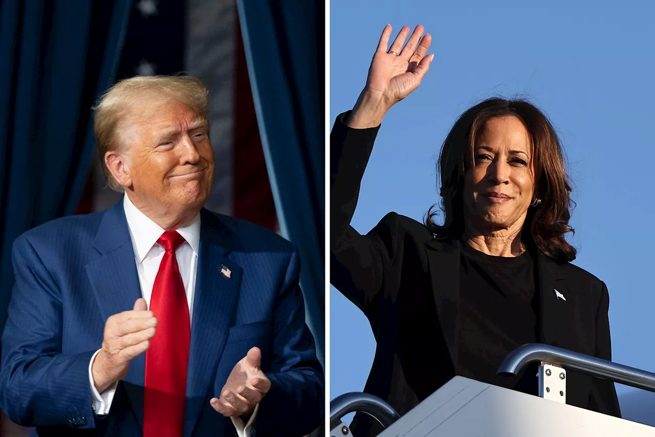 Trump, Harris Odds of Winning in Every Recent Major Poll With 17 Days Left