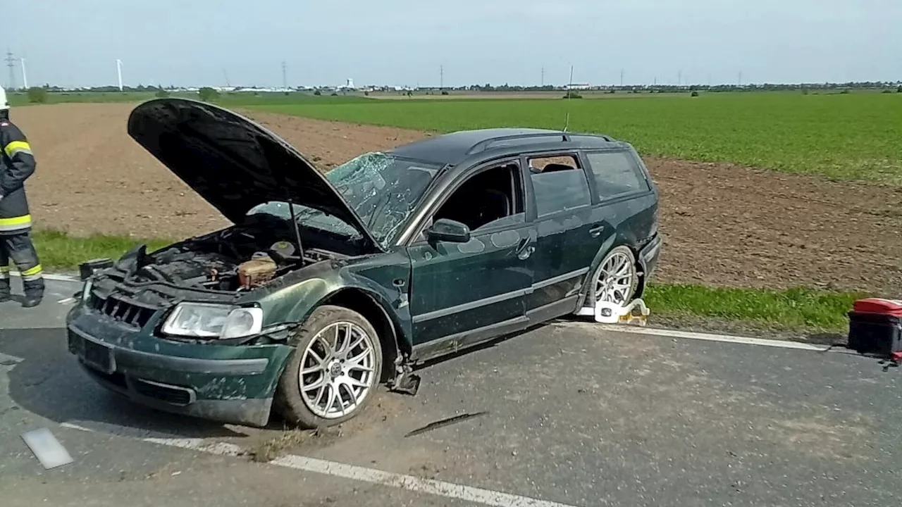 Erst gescheit, dann grob fahrlässig und jetzt verurteilt