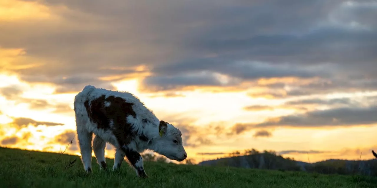 Mildes Herbstwetter mit Sonne, Wolken und Regen