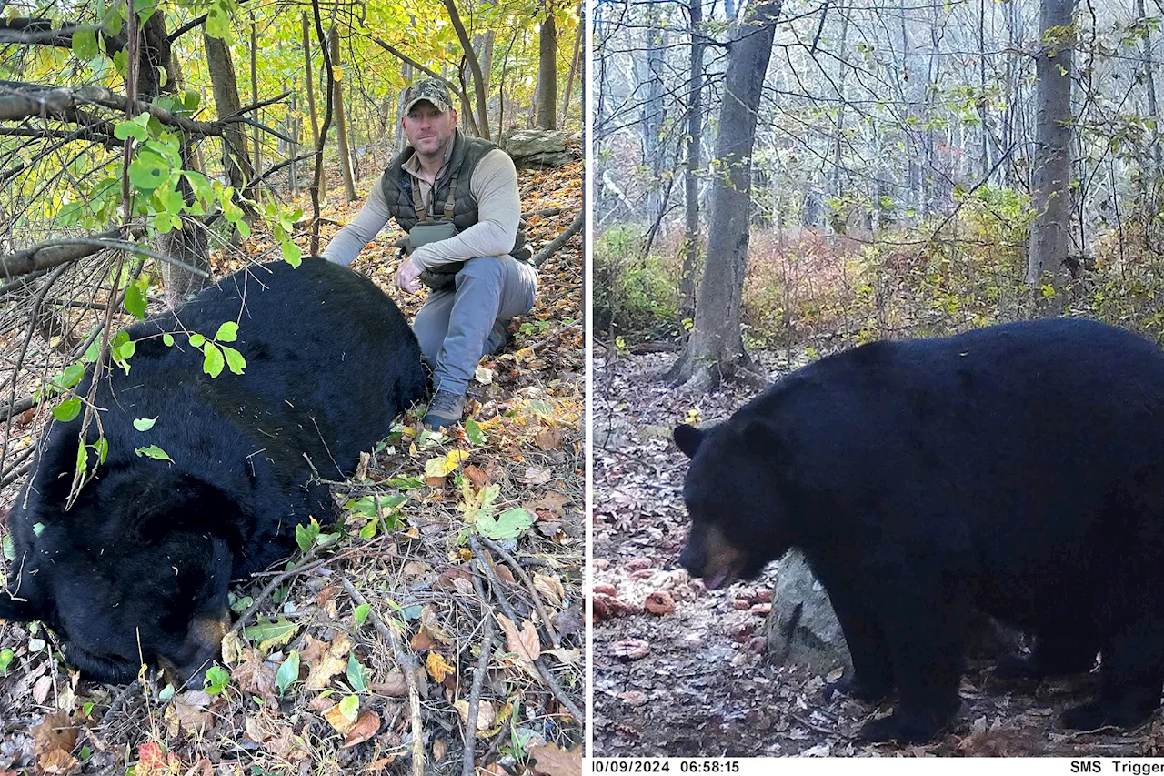 NJ hunter kills 770-pound black bear, setting state record: 'Smartest animal I've chased'