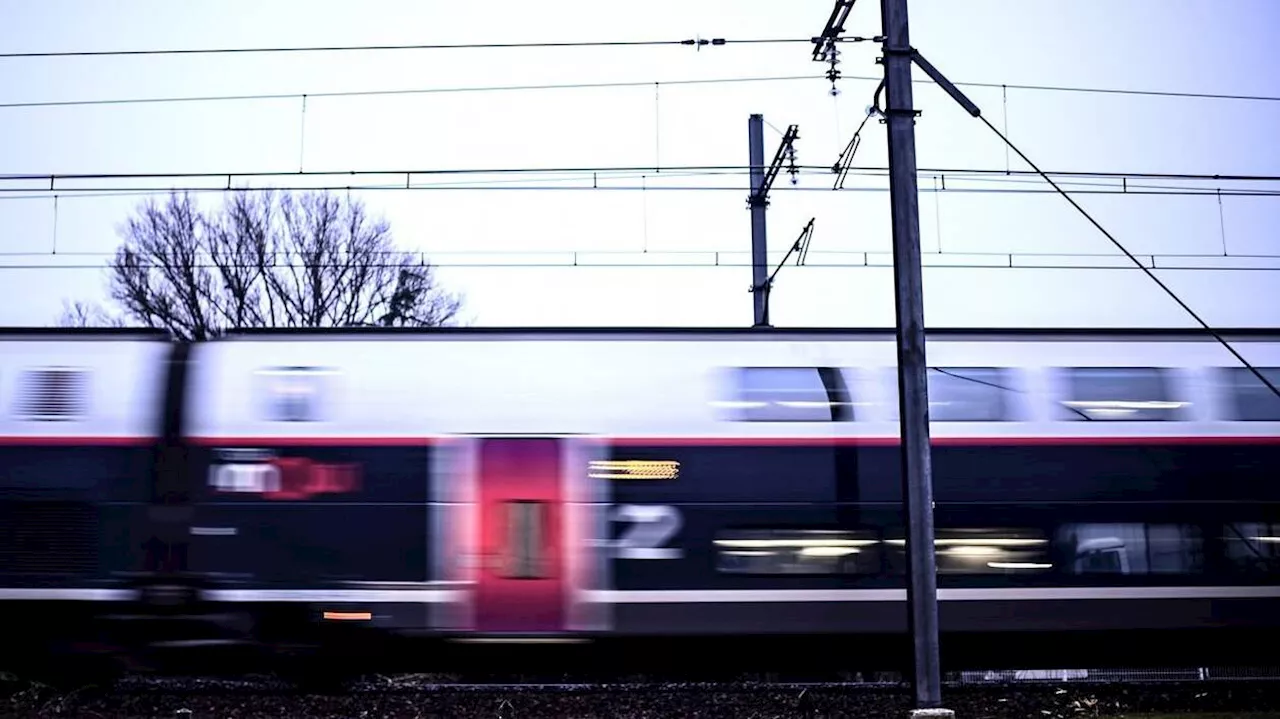 Ligne grande vitesse du Sud-Ouest : feu vert pour le chantier préparatoire au sud de Bordeaux