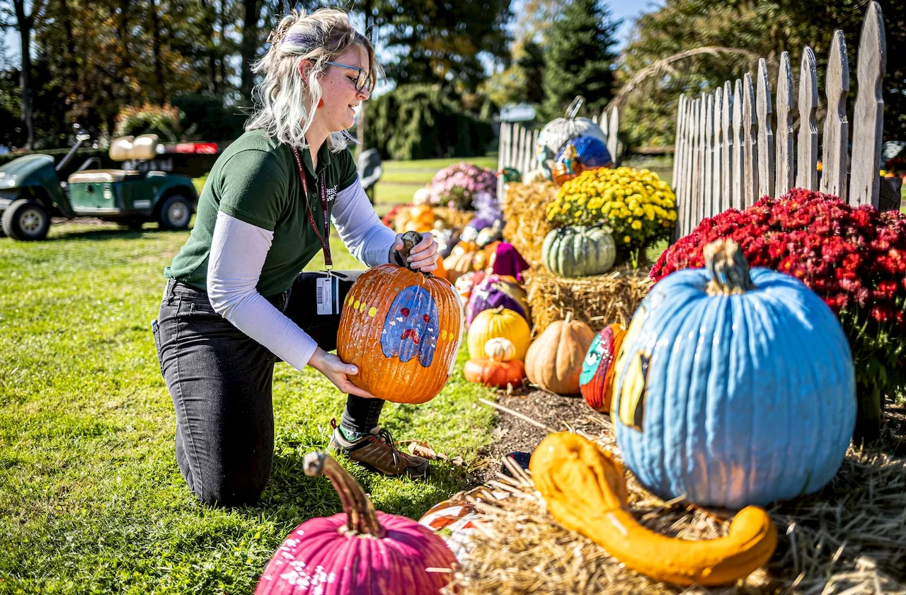 Looking for Halloween pumpkin decorating ideas? Hershey Gardens has you covered with Pumpkin Palooza