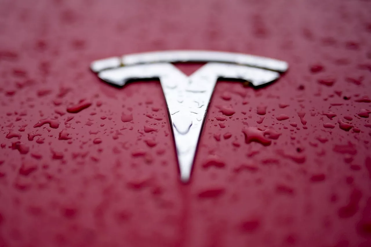 Tesla's 'Full Self-Driving' system to be investigated after pedestrian ...