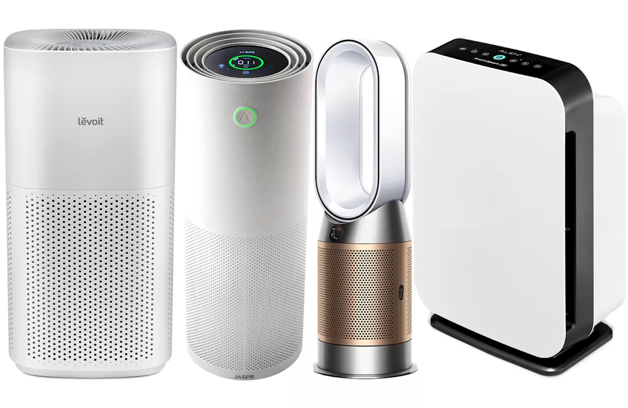 The best smart air purifiers of 2024, tested and reviewed