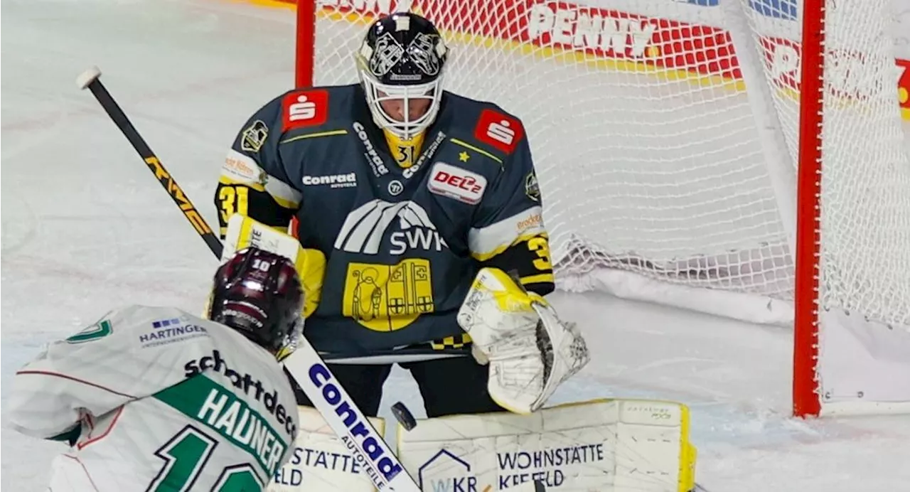 Krefeld Pinguine: Niederlage gegen Rosenheim - Drei Tore eines Ex-Spielers