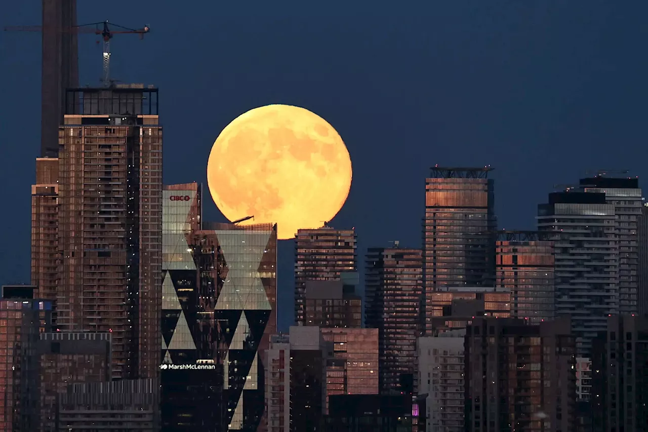 Maior Superlua do ano foi vista na última noite em vários pontos do mundo