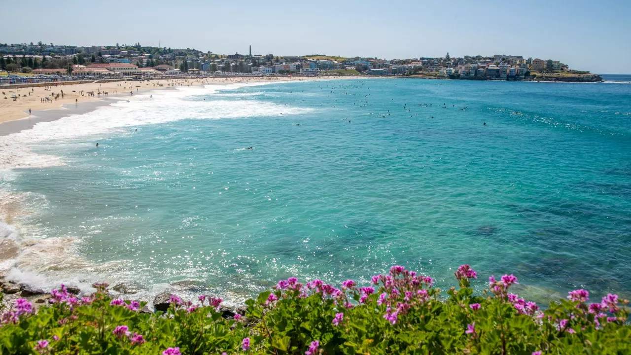 Bondi, Bronte and Tamarama beaches reopen following ‘tar balls’ debacle