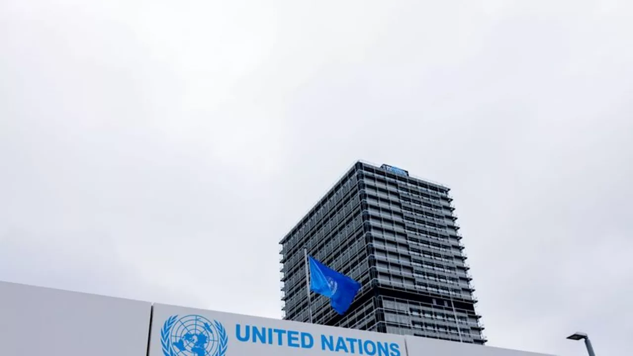 Vor Weltnaturkonferenz: Dominosteine in Bonn - Aktion gegen Artensterben