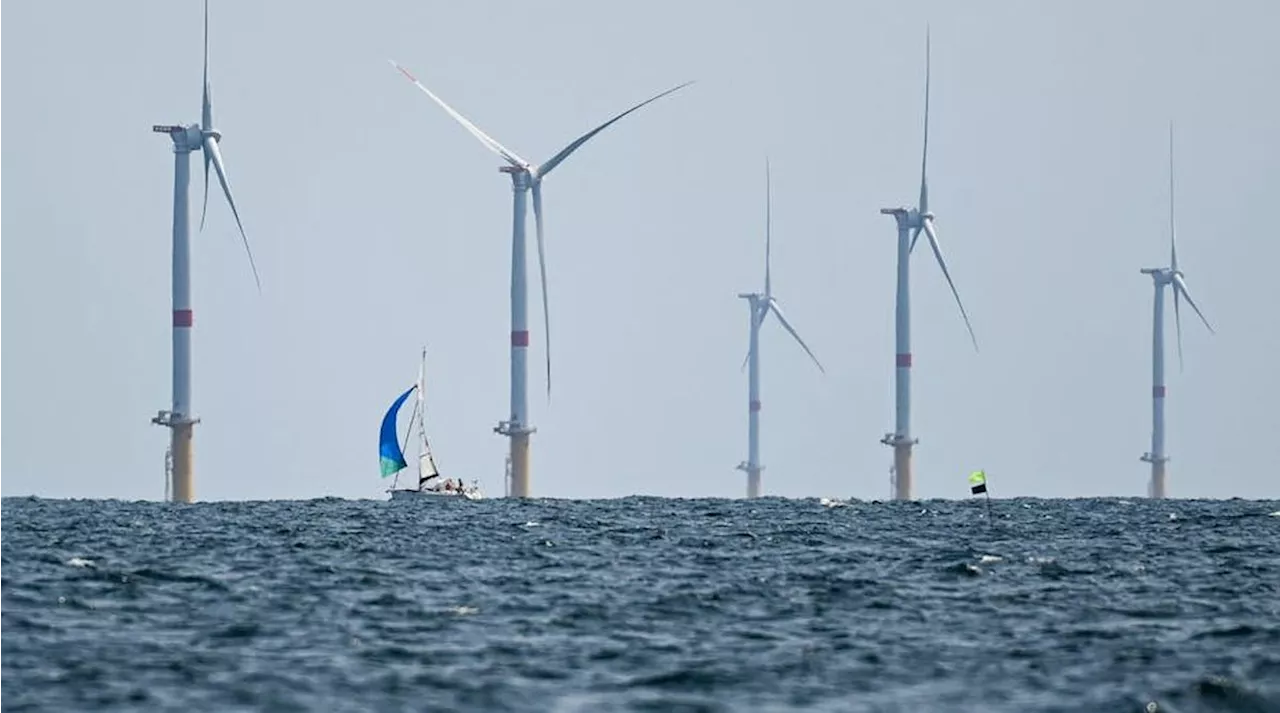 Éolien en mer : au large de la Charente-Maritime, cinq parcs offshore attendus en 2050