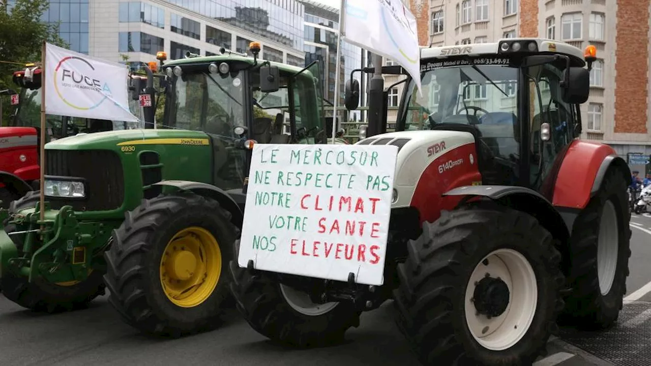 Mercosur : pourquoi l’accord pourrait être signé malgré le refus français