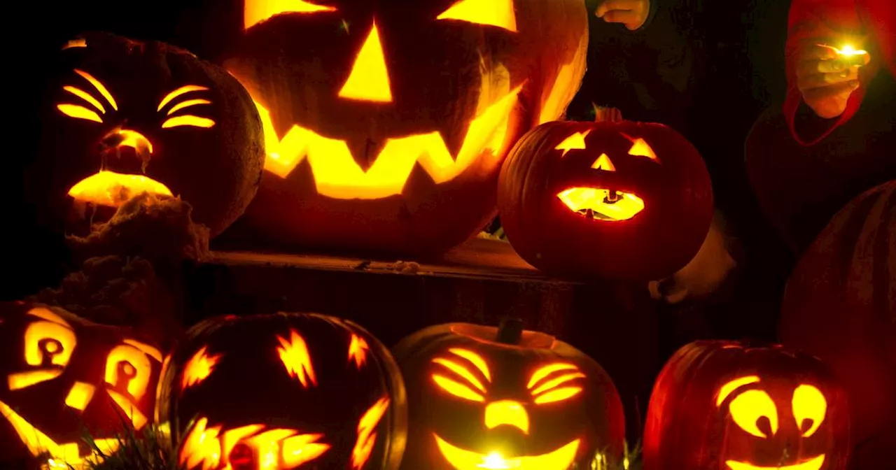 Tipps: So hält Ihr Halloween-Kürbis deutlich länger