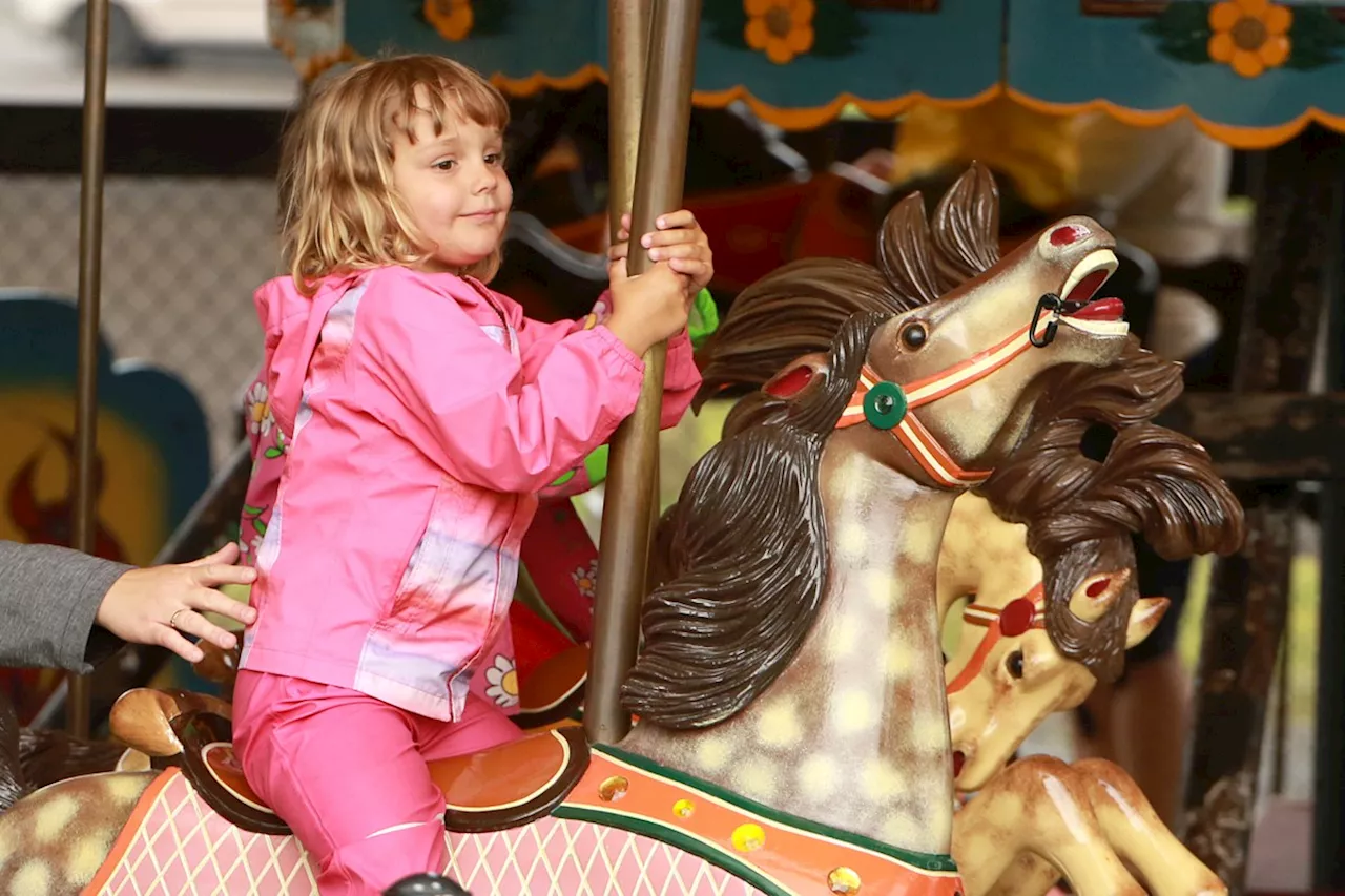 Chippewa Park carousel enclosure project could be in jeopardy