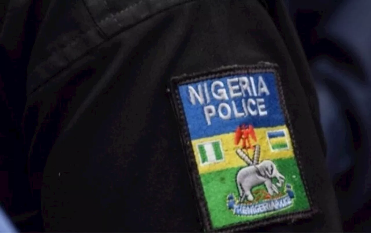 Police arrest two students for 'stealing 100 phones' in Bauchi