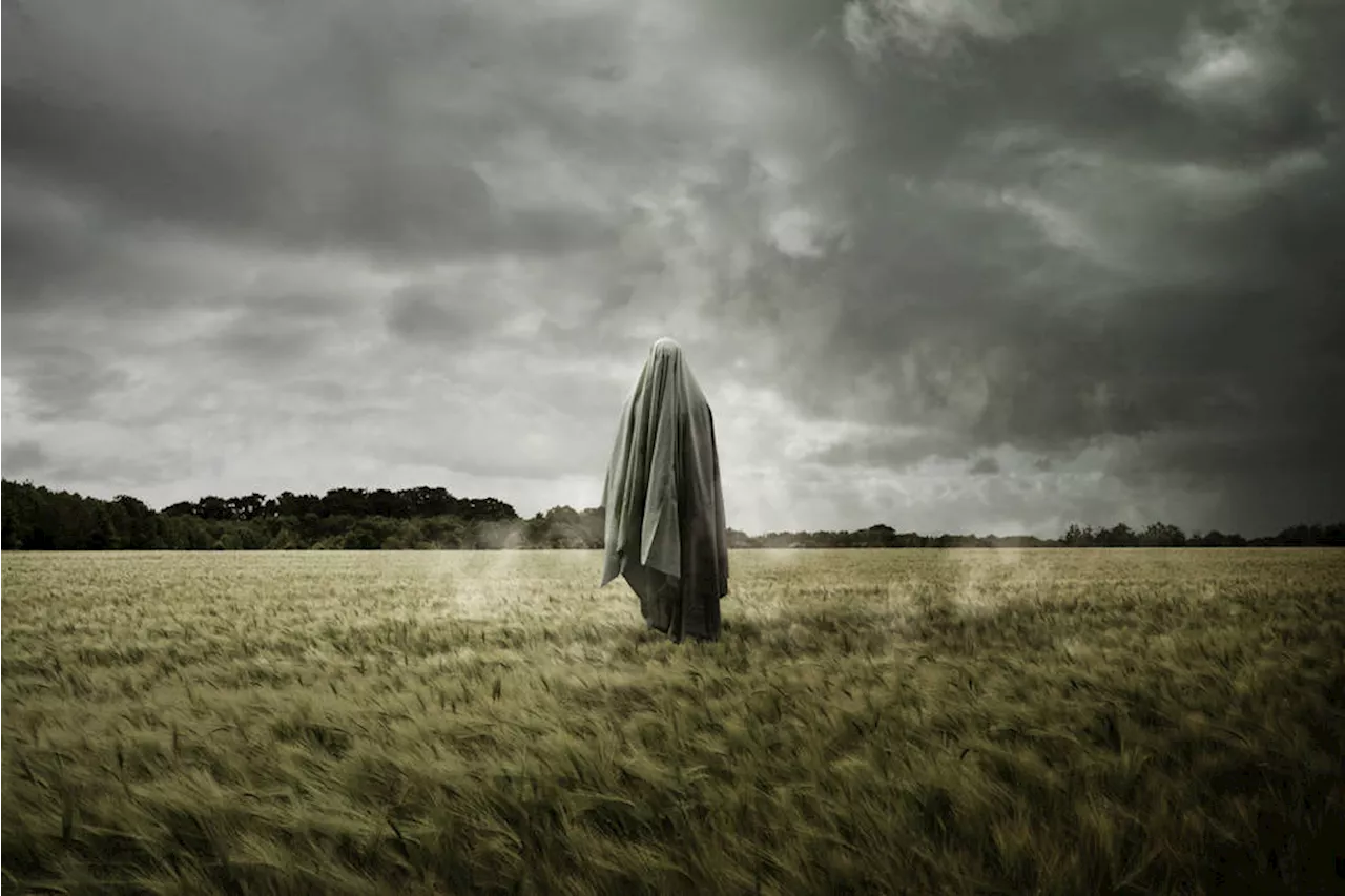 Spectre flaws continue to haunt Intel and AMD as researchers find fresh attack method