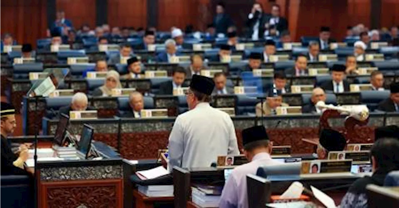 Opposition MP welcomes incentives provided in 2025 Budget