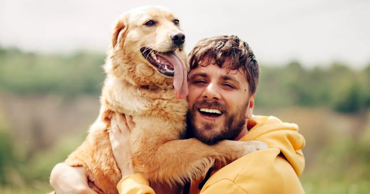 Decoding The Golden Retriever Boyfriend Trend