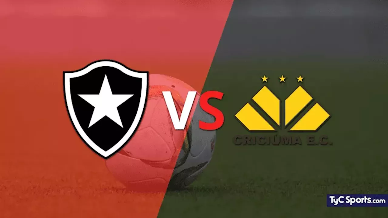 Botafogo Vs. Criciúma En Vivo: Seguí El Partido Minuto A Minuto ...