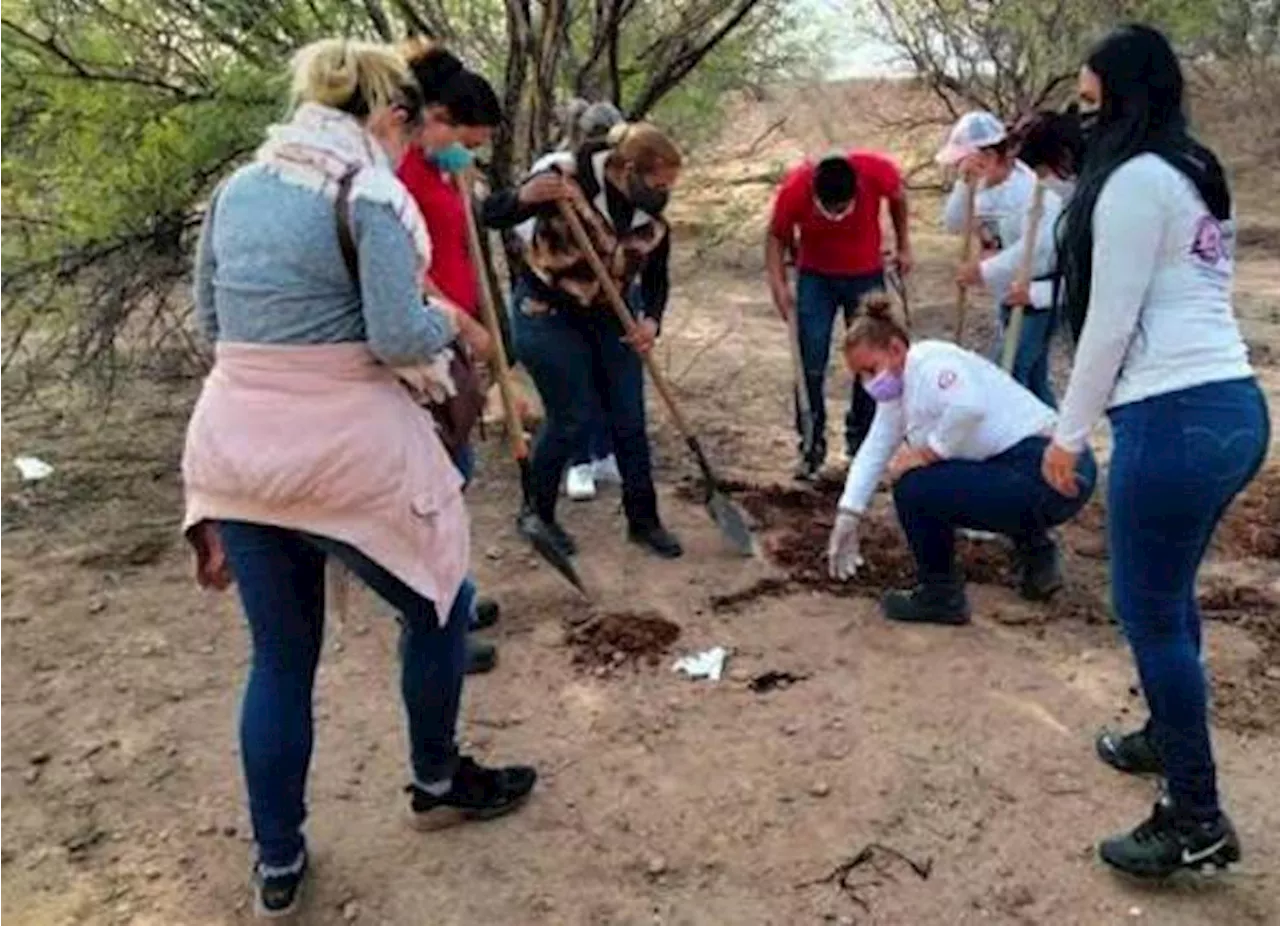 Madres Buscadoras de Sonora encuentran más fosas, reportan al menos ocho cuerpos