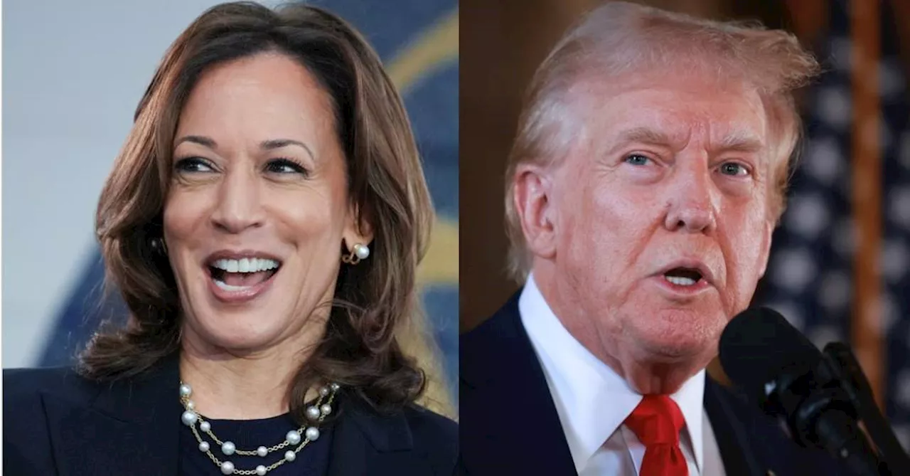 Pesquisa aponta preferência de brasileiros nos EUA entre Kamala e Trump