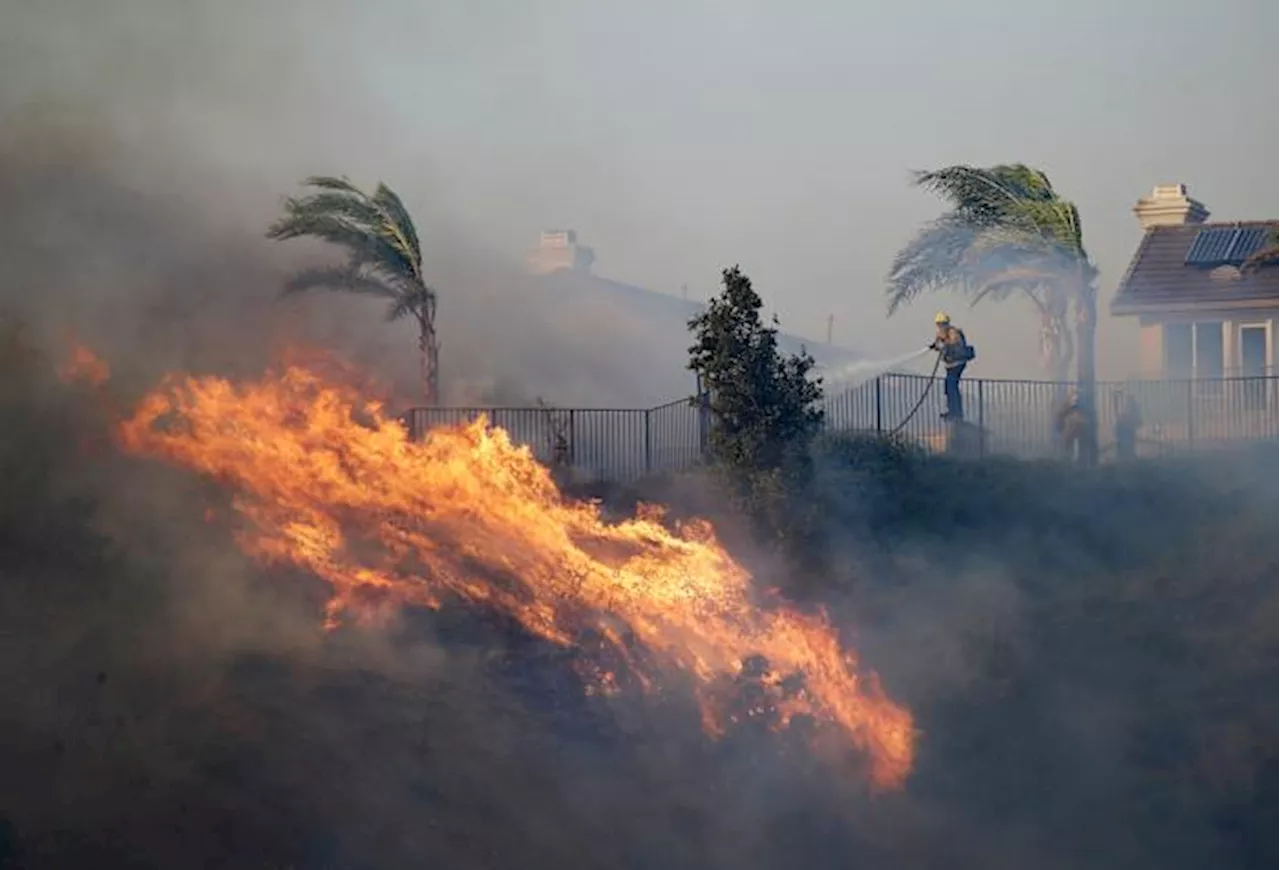 California utility shuts off power in 12 counties as 'diablo' wind spikes risk of wildfires