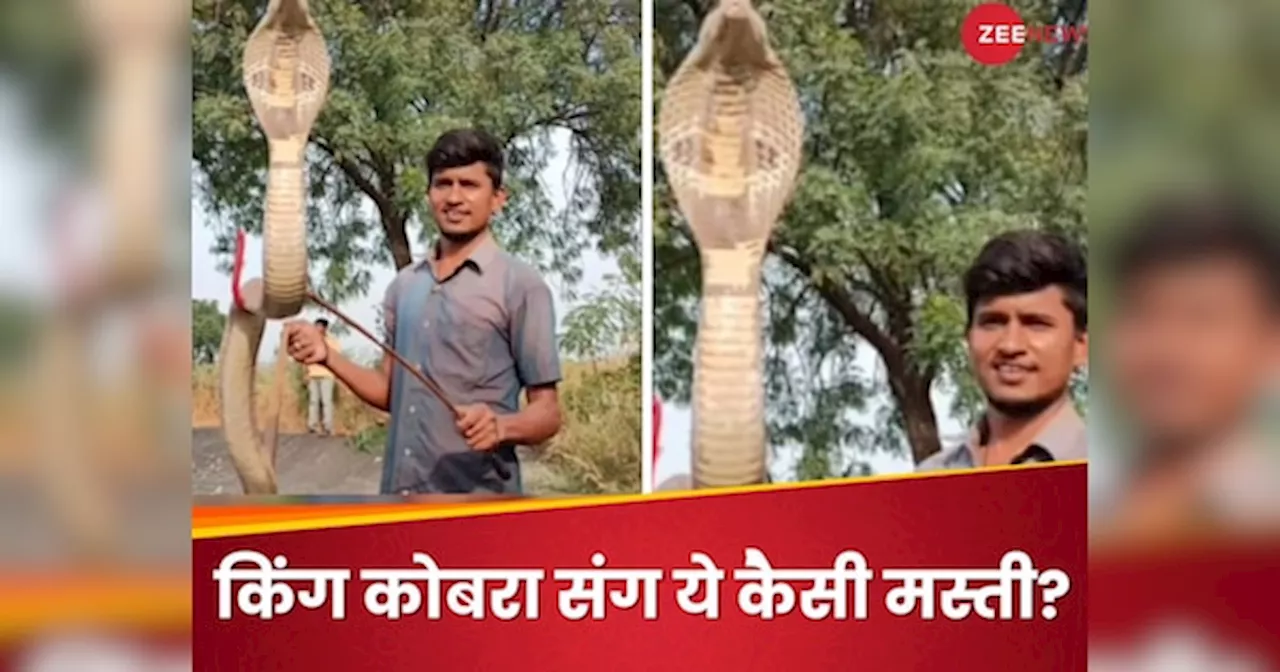 King Cobra को तालाब से निकालने के लिए शख्स ने लगाई जान की बाजी, आखिर में हुआ कुछ ऐसा