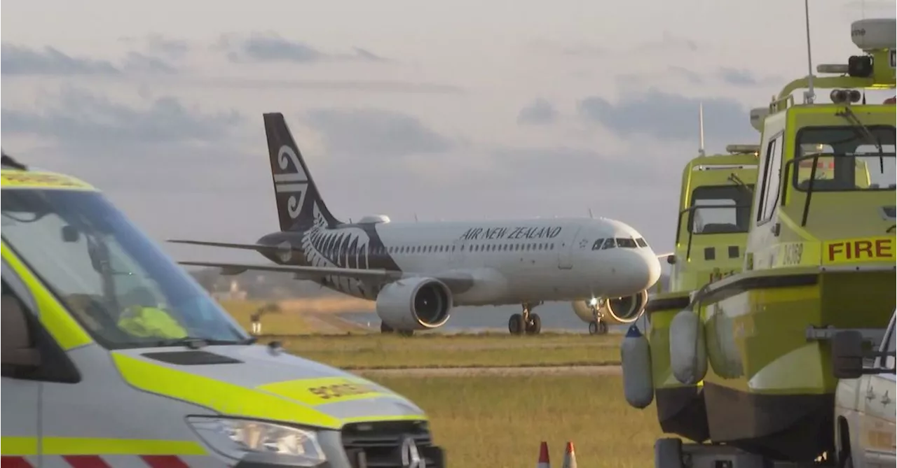 Air New Zealand plane briefly grounded at Sydney Airport over 'security incident'