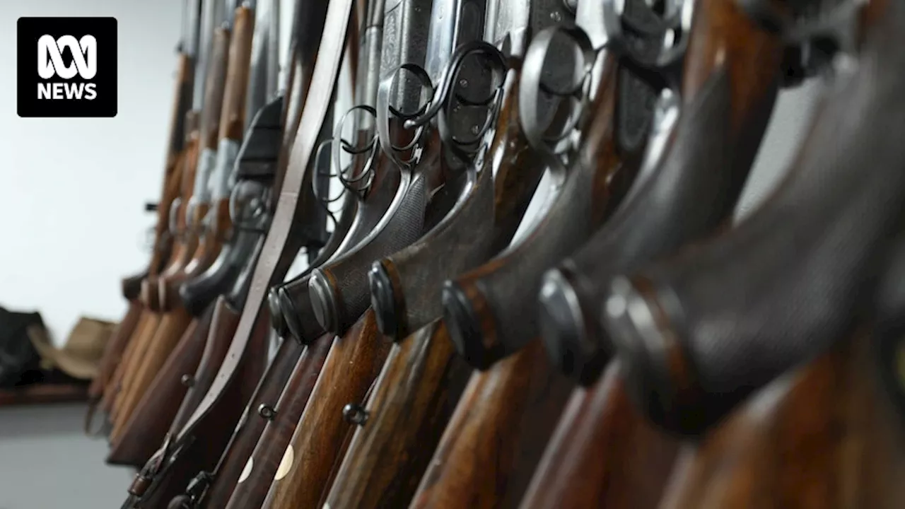 Illegal firearm owners hold on to their weapons as Samoa ends two-month gun amnesty