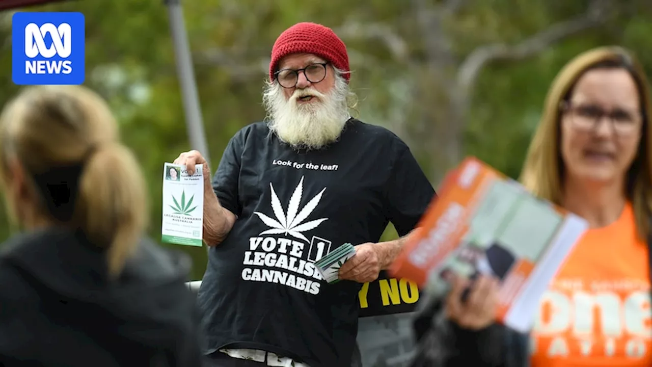 Labor preferences Legalise Cannabis Queensland ahead of Greens in 28 seats in state election