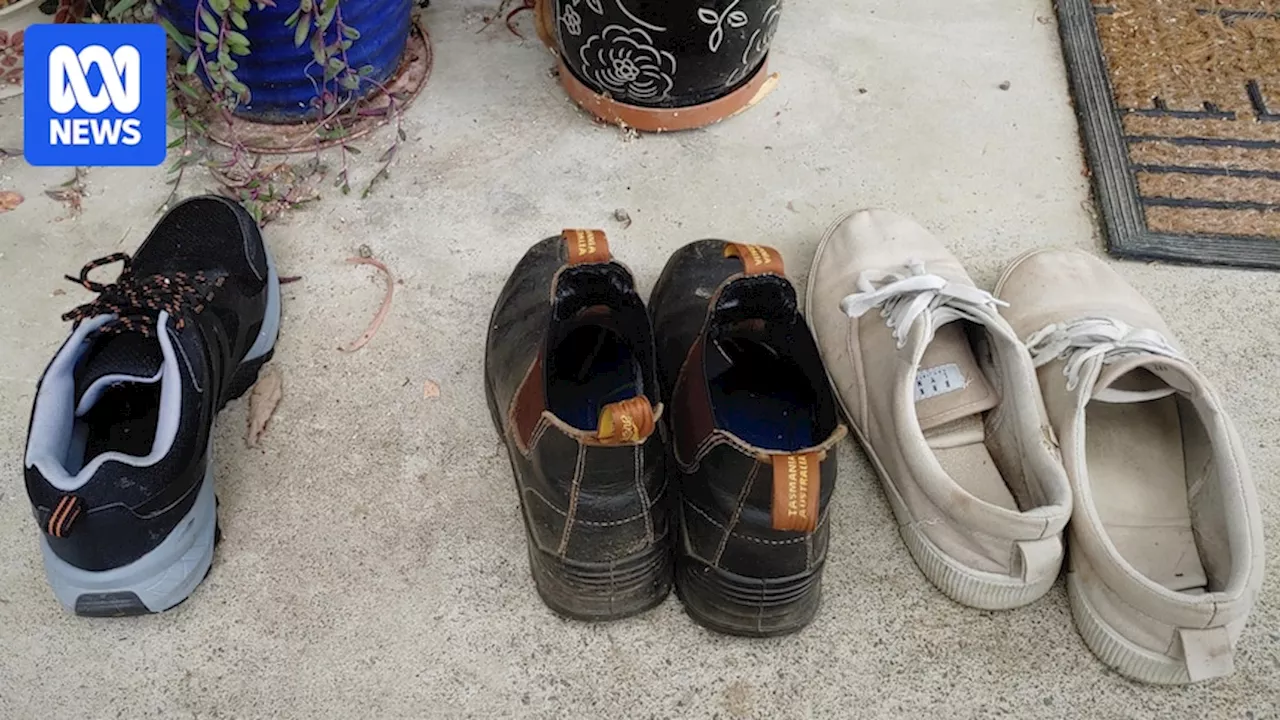 What's the best way to store shoes to avoid mould and damage?