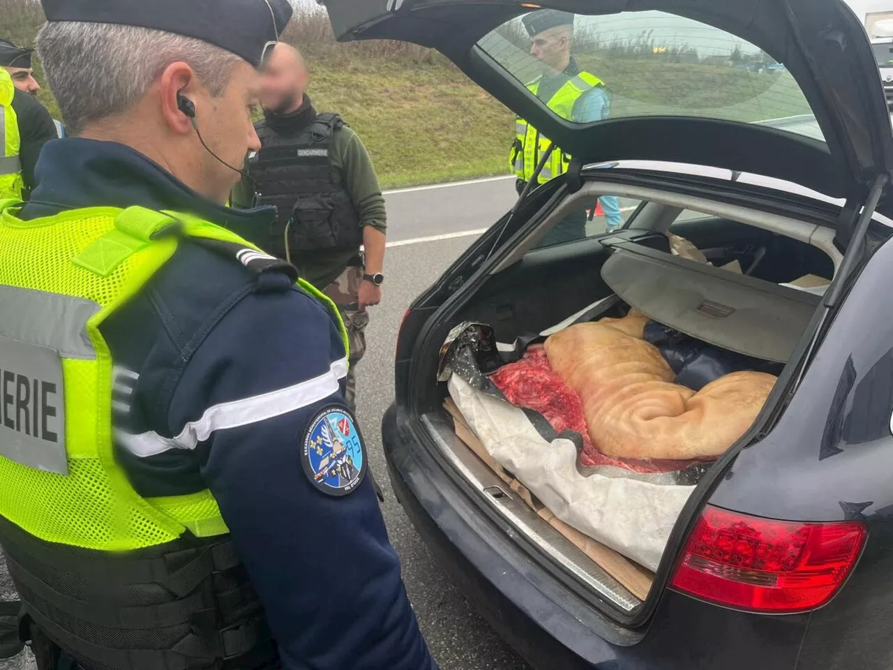 Contrôles routiers dans le Val-d'Oise : stupéfiants, téléphones et carcasses d'animaux