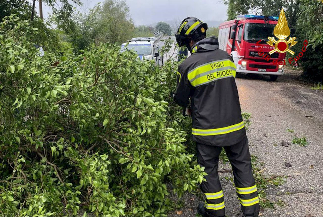 Maltempo, allerta sull'Italia: fiumi osservati speciali in Emilia Romagna