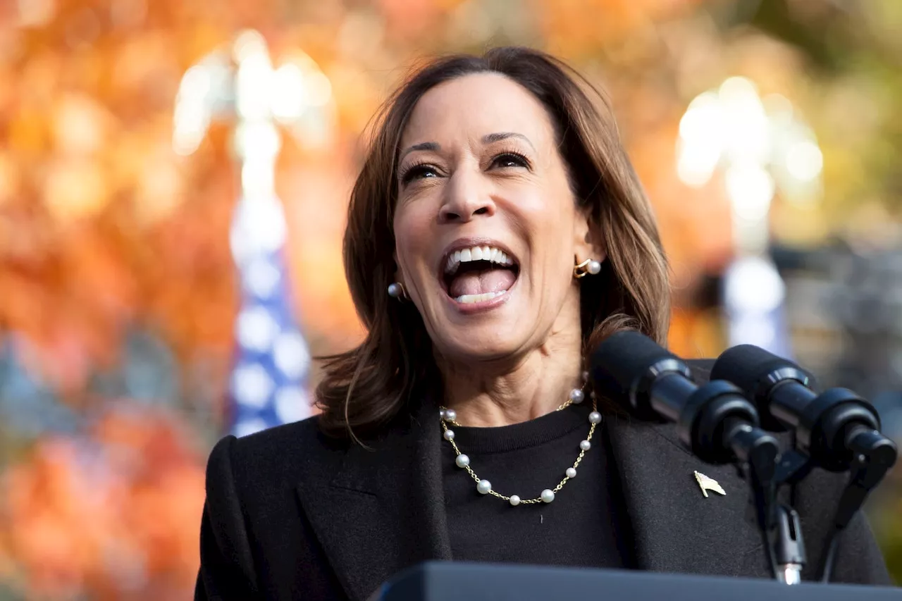 What Kamala Harris said about Trump when crowd chanted ‘lock him up’