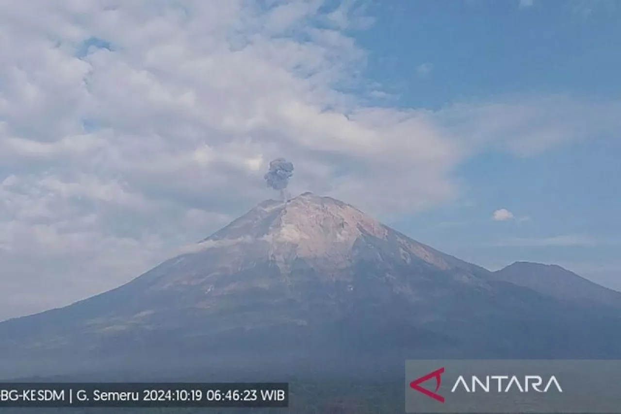 Gunung Semeru kembali erupsi dengan letusan setinggi 700 meter