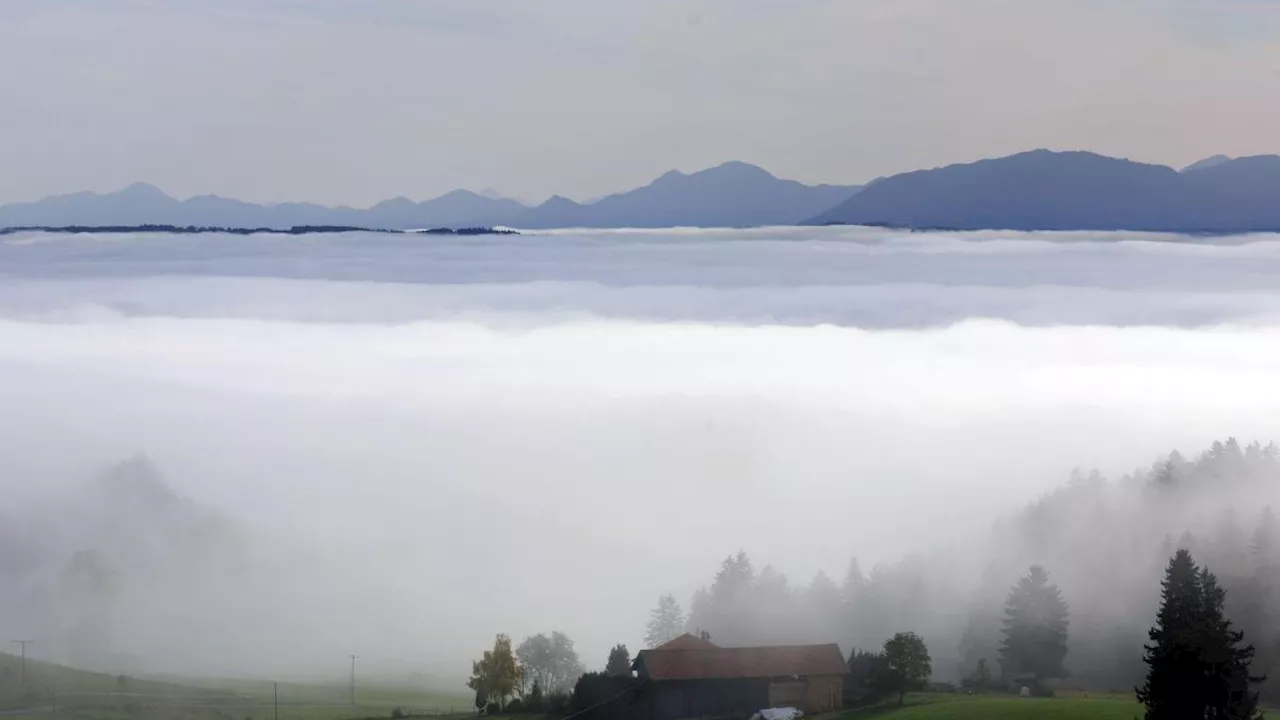 Bayern-Wetter im Ticker: Viel Nebel, wenig Sonne am Wochenende