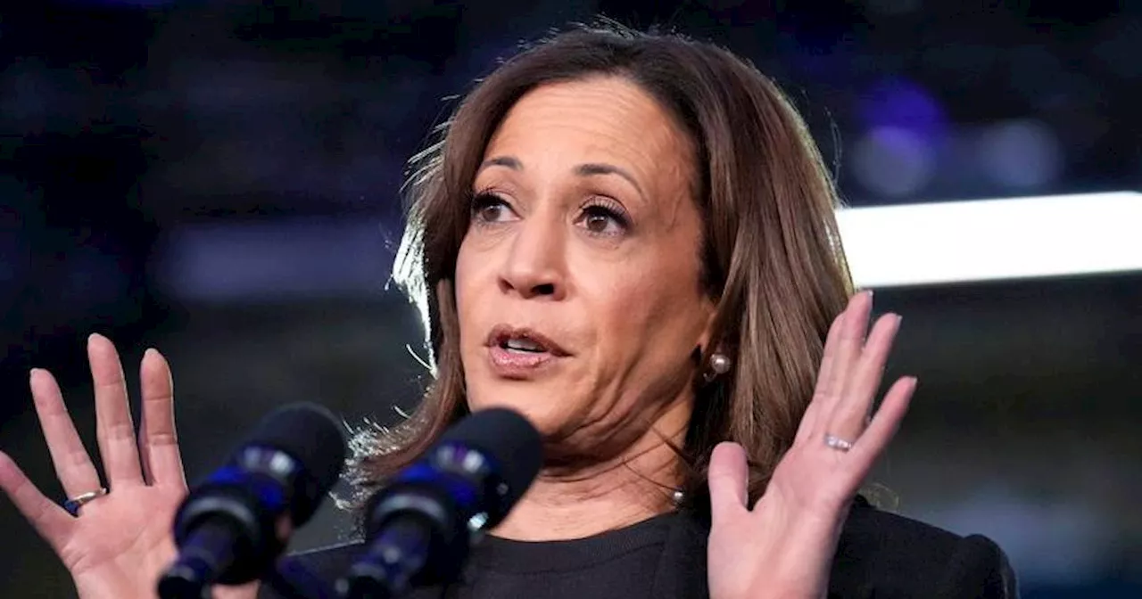 Kamala Harris greift Trump in Wahlkampf frontal an