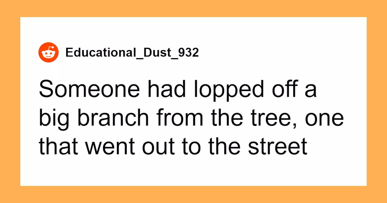 Man Builds PVC and Christmas Light Tree Branch To Annoy HOA After They Cut Down His Own