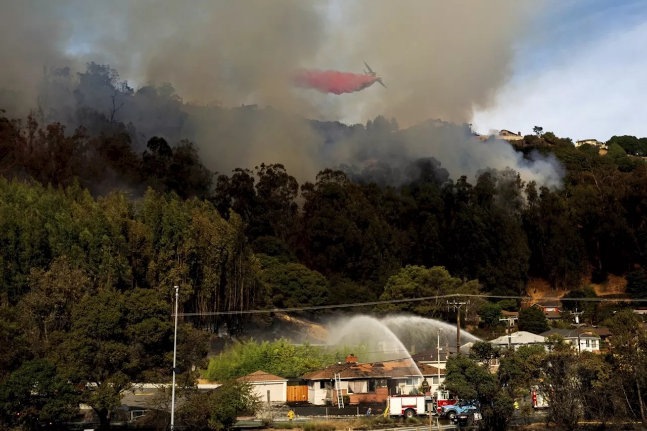 Fast-moving brush fire damages at least 7 homes in neighborhood of Oakland, California