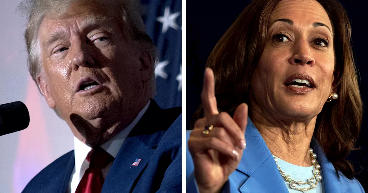 Harris, Trump campaign in Michigan, seek Arab American votes in effort to shore up battleground states