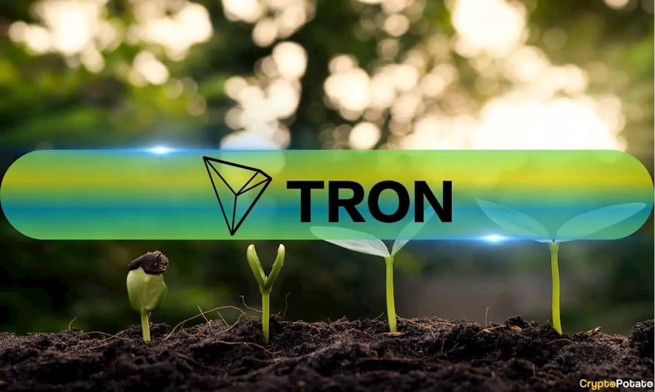 Tron’s Q3 2024 Revenue Grows by 6% in TRX Amidst Meme Coin Boom