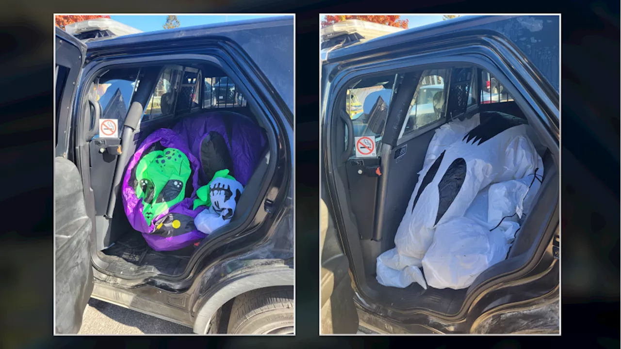 Ottawa Valley OPP catch alleged Halloween decor thief