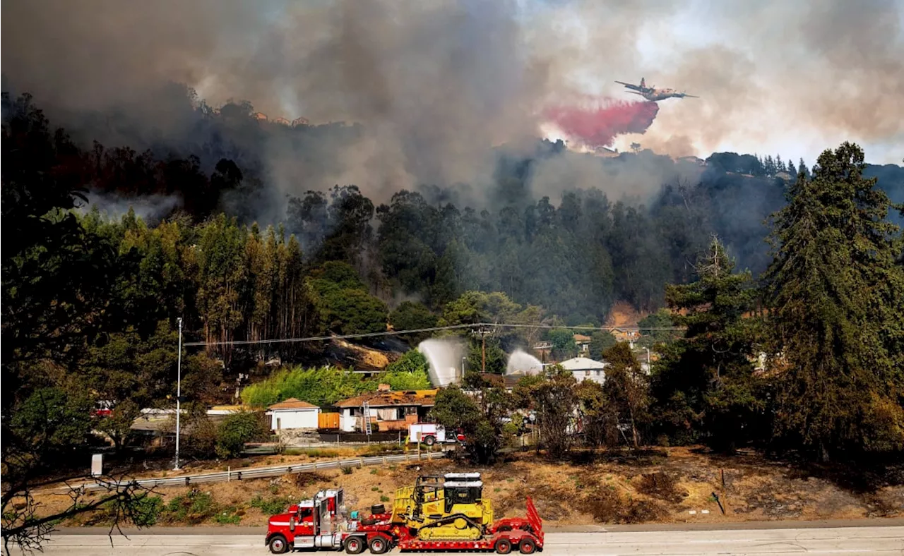 Evacúan viviendas en California por incendio; equipos combaten el fuego