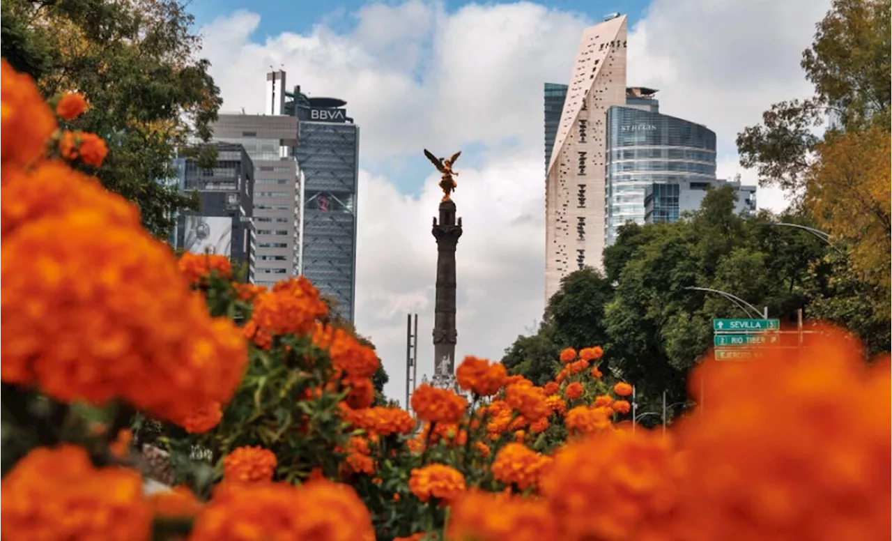 FOTOS: ¡Reforma ya huele a Día de Muertos! Decoran avenidas de la CDMX con flores de cempasúchil