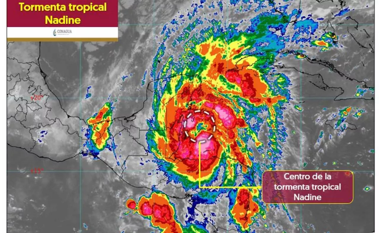 Tormenta tropical “Nadine” tocará tierra el mediodía de este sábado; entrará por Belice