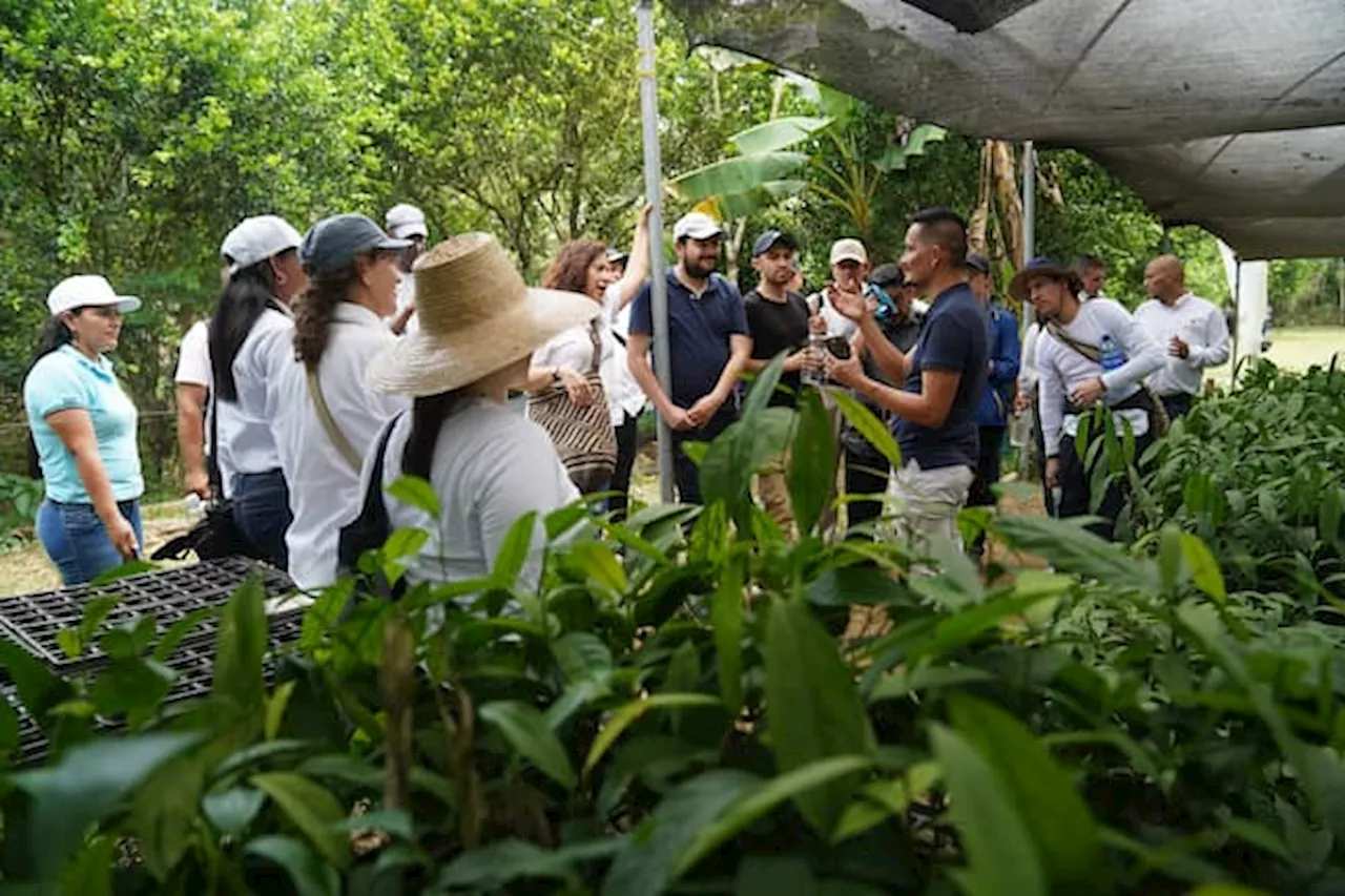 La historia de los ex-FARC que reforestan la Amazonia y se presentarán en la COP16