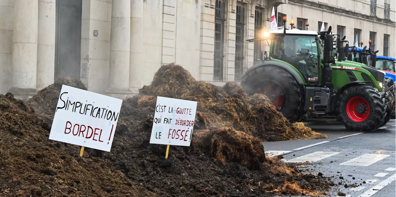 «Marre des promesses en l'air» : à Auch, les agriculteurs déversent à nouveau leur colère